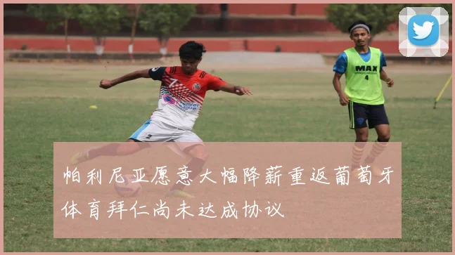帕利尼亚愿意大幅降薪重返葡萄牙体育拜仁尚未达成协议